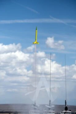 Estes Viking - 12 Pack -Estes || Quest || DYNASTAR Sales 13a2023e754f328f4808dec827668329.image .466x700