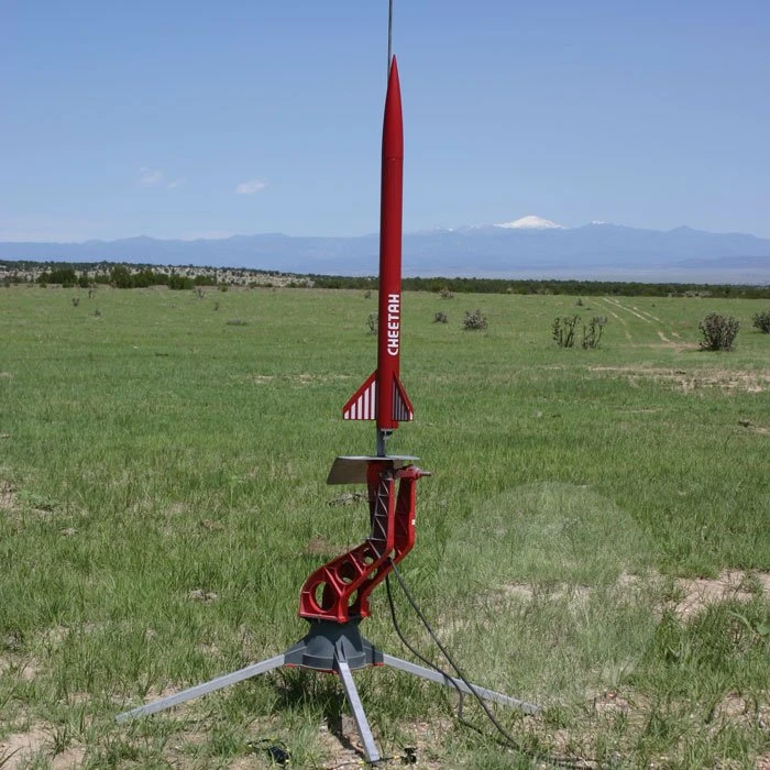 Cheetah 5 Cheetah - Image 3