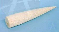 Red Star 21 Red Star -Estes || Quest || DYNASTAR Sales 4ce8fbb713dafe25292fbceaa436b39e.image .306x166