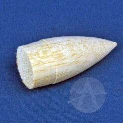 Corporal -Estes || Quest || DYNASTAR Sales 5381adaab9ee613d41b71a22efc42d15.image .700x700