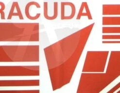 Barracuda -Estes || Quest || DYNASTAR Sales 619bbd81fa42d8bf7e948397c14f39bc.image .300x235