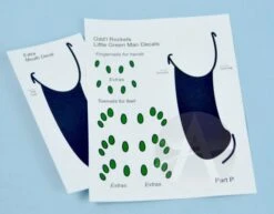 Little Green Man -Estes || Quest || DYNASTAR Sales 842112f1643b30edea11d680c04766ee.image .700x547