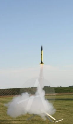 Cluster Duck -Estes || Quest || DYNASTAR Sales 89e5c4db790180224f1807d5a0f2c3f5.image .412x700