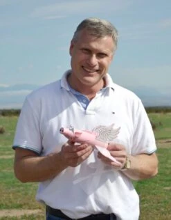 Pigasus 26 Pigasus -Estes || Quest || DYNASTAR Sales 96562c058a5ef7a6752a4291c4bdcd02.image .548x700