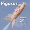 Pigasus -Estes || Quest || DYNASTAR Sales a1b350503b7b4cde7f3c0fcb34c768d5.image .538x538