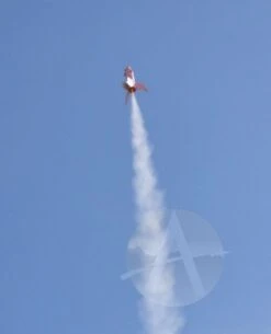 Pigasus 19 Pigasus -Estes || Quest || DYNASTAR Sales b70cd7176077ea5fceb31178e4ae77bb.image .567x700