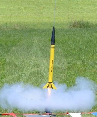 Cluster Duck 21 Cluster Duck - Image 19