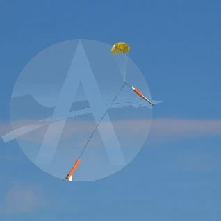 Arreauxbee-Hi 22 Arreauxbee-Hi - Image 20