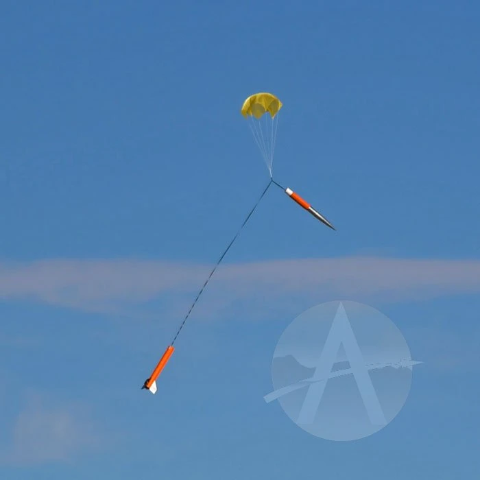 Arreauxbee-Hi 8 Arreauxbee-Hi - Image 6